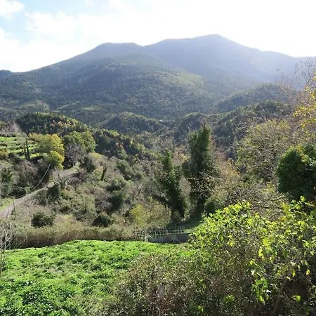 Beautiful Mountain View House With Fireplace Holiday home *